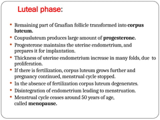 Luteal phase:
 Remaining part of Graafian follicle transformed into corpus
luteum.
 Coupusluteum produces large amount of progesterone.
 Progesterone maintains the uterine endometrium, and
prepares it for implantation.
 Thickness of uterine endometrium increase in many folds, due to
proliferation.
 If there is fertilization, corpus luteum grows further and
pregnancy continued, menstrual cycle stopped.
 In the absence of fertilization corpus luteum degenerates.
 Disintegration of endometrium leading to menstruation.
 Menstrual cycle ceases around 50 years of age,
called menopause.
 