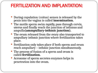 FERTILIZATION AND IMPLANTATION:
 During copulation (coitus) semen is released by the
penis into the vagina is called insemination.
 The motile sperm swim rapidly, pass through cervix,
uterus and finally reach the junction of isthmus and
ampulla(ammpullary-isthmic junction).
 The ovum released from the ovary also transported to
ampullary isthmic junction where fertilization takes
place.
 Fertilization only takes place if both sperm and ovum
reach ampullary – isthmic junction simultaneously.
 The process of fusion of a sperm and ovum is
called fertilization.
 Acrosome of sperm secretes enzymes helps in
penetration into the ovum.
 