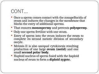 CONT…
 Once a sperm comes contact with the zonapellucida of
ovum and induces the changes in the membrane that
blocks the entry of additional sperms.
 That ensures monospermy and prevents polyspermy.
 Only one sperm fertilize with one ovum.
 Entry of sperm into the ovum induces the ovum to
complete its second meiotic division of secondary
oocyte.
 Meiosis-II is also unequal cytokinesis resulting
production of one large ovum (ootid) and one
small second polar body.
 Haploid nucleus of sperm fused with the haploid
nucleus of ovum to form a diploid zygote.
 