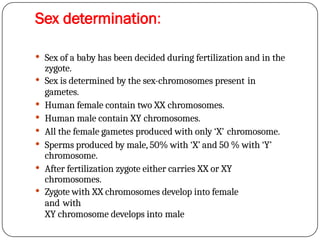 Sex determination:
 Sex of a baby has been decided during fertilization and in the
zygote.
 Sex is determined by the sex-chromosomes present in
gametes.
 Human female contain two XX chromosomes.
 Human male contain XY chromosomes.
 All the female gametes produced with only ‘X’ chromosome.
 Sperms produced by male, 50% with ‘X’ and 50 % with ‘Y’
chromosome.
 After fertilization zygote either carries XX or XY
chromosomes.
 Zygote with XX chromosomes develop into female
and with
XY chromosome develops into male
 