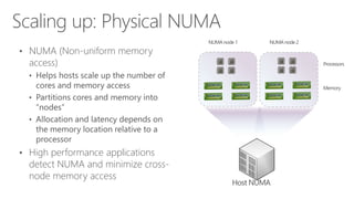 • NUMA (Non-uniform memory
access)
• Helps hosts scale up the number of
cores and memory access
• Partitions cores and memory into
“nodes”
• Allocation and latency depends on
the memory location relative to a
processor
• High performance applications
detect NUMA and minimize cross-
node memory access
Host NUMA
Memory
Processors
NUMAnode1 NUMAnode2
 