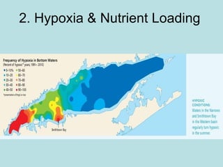 2. Hypoxia & Nutrient Loading 