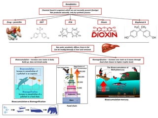 Bioaccumulation – Increase conc toxins in body
Build up- does not break easily
Xenobiotics
Biomagnification – increase conc toxin as it moves through
food chain (lower to higher trophic level)
Drug – penicillin
Chemical found in organism which are not normally present (foreign)
Not produced naturally, only by synthetic process
PCBDDT
Non polar xenobiotic diffuse /store in fat
Can be modify/detoxify in liver and removed.
BisphenolA
Food chain
Bioaccumulationmercury
Bioaccumulationvs Biomagnification
Dioxin
 