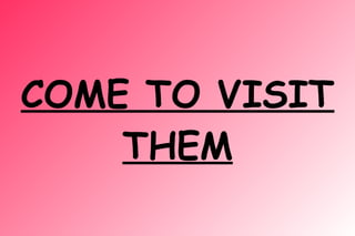 COME TO VISIT
THEM
 