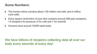 Some Numbers:
We have billions of receptors collecting data all over our
body every seconds of every day!
● The human retina contains about 120 million rod cells, and 6 million
cone cells.
● Every square centimetre of your skin contains around 200 pain receptors,
15 receptors for pressure, 6 for cold and 1 for warmth.
● Humans have around 10,000 taste buds.
 
