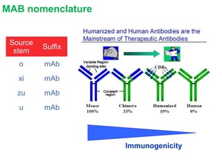 MAB nomenclature
Source
stem
Suffix
o mAb
xi mAb
zu mAb
u mAb
Immunogenicity
 