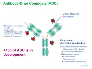 Very potent
chemotherapeutic drug
• Tubulin polymerization inhibitors
• Maytansines (DM1, DM4)
• Auristatins (MMAE, MMAF)
• DNA damaging agents
• Calicheamicins
• Duocarmycins
• Anthracyclines (doxorubicin)
• Humanized monoclonal
Ab (IgG1)
• mAb with Fc
modifications (modulate
ADCC, CDC activity)
• Other mAb fragments
Linker stable in
circulation
Antibody-Drug Conjugate (ADC)
Schutten, 2012
>100 of ADC is in
development
 