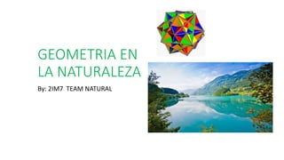 GEOMETRIA EN
LA NATURALEZA
By: 2IM7 TEAM NATURAL
 