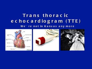 Trans thoracic echocardiogram (TTE) We ’re not in Kansas any more 