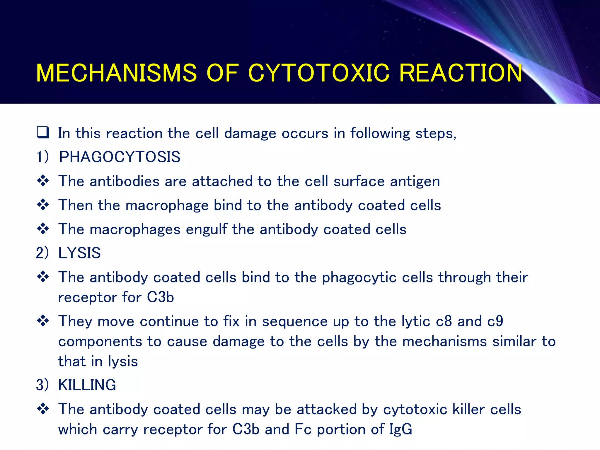 MECHANISMS OF CYTOTOXIC REACTION
 In this reaction the cell damage occurs in following steps,
1) PHAGOCYTOSIS
 The antibodies are attached to the cell surface antigen
 Then the macrophage bind to the antibody coated cells
 The macrophages engulf the antibody coated cells
2) LYSIS
 The antibody coated cells bind to the phagocytic cells through their
receptor for C3b
 They move continue to fix in sequence up to the lytic c8 and c9
components to cause damage to the cells by the mechanisms similar to
that in lysis
3) KILLING
 The antibody coated cells may be attacked by cytotoxic killer cells
which carry receptor for C3b and Fc portion of IgG
 