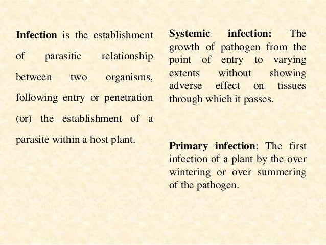 what are the importance of plant diseases