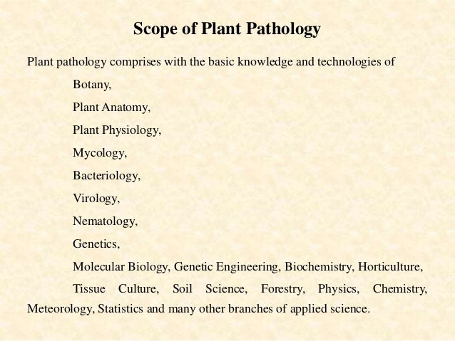 what are the importance of plant diseases