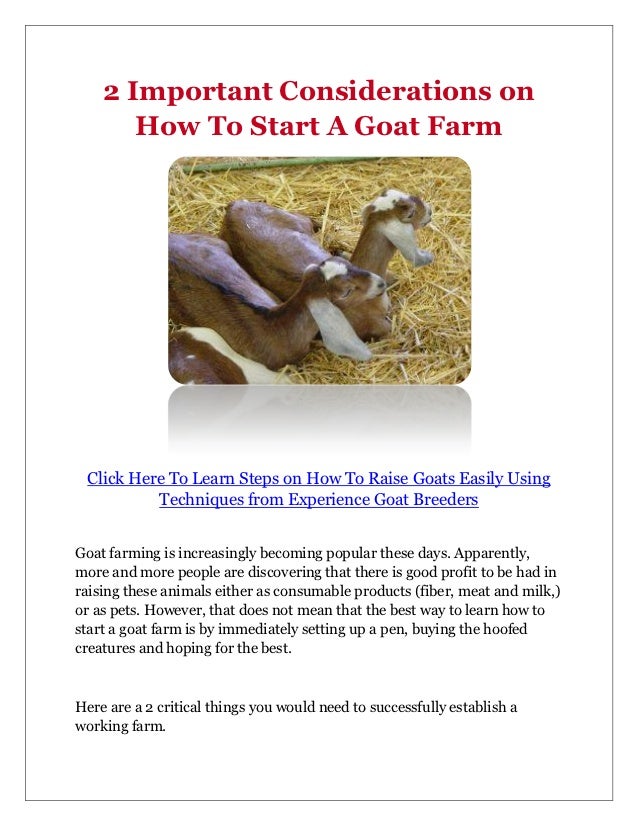 2 Important Considerations on How To Start A Goat Farm