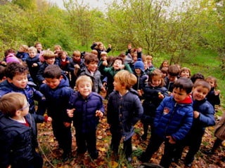 2º infantil otoño 2014