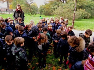2º infantil otoño 2014
