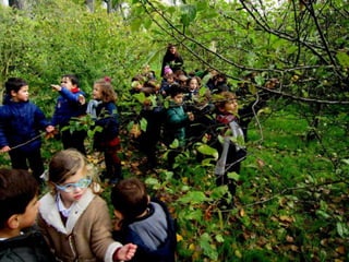 2º infantil otoño 2014