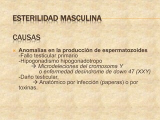 ESTERILIDAD MASCULINA
CAUSAS
 Anomalías en la producción de espermatozoides
-Fallo testicular primario
-Hipogonadismo hipogonadotropo
 Microdeleciones del cromosoma Y
o enfermedad desíndrome de down 47 (XXY)
-Daño testicular,
 Anatómico por infección (paperas) o por
toxinas.
 