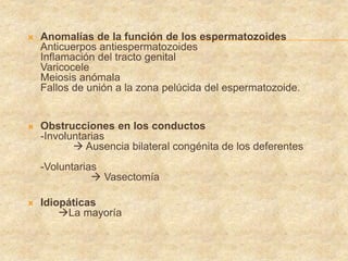  Anomalías de la función de los espermatozoides
Anticuerpos antiespermatozoides
Inflamación del tracto genital
Varicocele
Meiosis anómala
Fallos de unión a la zona pelúcida del espermatozoide.
 Obstrucciones en los conductos
-Involuntarias
 Ausencia bilateral congénita de los deferentes
-Voluntarias
 Vasectomía
 Idiopáticas
La mayoría
 