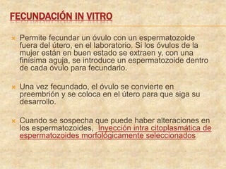 FECUNDACIÓN IN VITRO
 Permite fecundar un óvulo con un espermatozoide
fuera del útero, en el laboratorio. Si los óvulos de la
mujer están en buen estado se extraen y, con una
finísima aguja, se introduce un espermatozoide dentro
de cada óvulo para fecundarlo.
 Una vez fecundado, el óvulo se convierte en
preembrión y se coloca en el útero para que siga su
desarrollo.
 Cuando se sospecha que puede haber alteraciones en
los espermatozoides, Inyección intra citoplasmática de
espermatozoides morfológicamente seleccionados
 