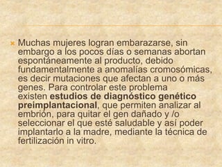  Muchas mujeres logran embarazarse, sin
embargo a los pocos días o semanas abortan
espontáneamente al producto, debido
fundamentalmente a anomalías cromosómicas,
es decir mutaciones que afectan a uno o más
genes. Para controlar este problema
existen estudios de diagnóstico genético
preimplantacional, que permiten analizar al
embrión, para quitar el gen dañado y /o
seleccionar el que esté saludable y así poder
implantarlo a la madre, mediante la técnica de
fertilización in vitro.
 