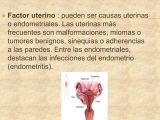  Factor uterino : pueden ser causas uterinas
o endometriales. Las uterinas más
frecuentes son malformaciones, miomas o
tumores benignos, sinequias o adherencias
a las paredes. Entre las endometriales,
destacan las infecciones del endometrio
(endometritis).
 