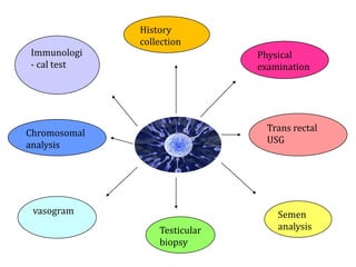 Immunologi
- cal test
History
collection
Chromosomal
analysis
vasogram
Testicular
biopsy
Semen
analysis
Trans rectal
USG
Physical
examination
 