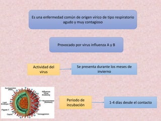 Es una enfermedad común de origen vírico de tipo respiratorio
agudo y muy contagioso
Provocado por virus influenza A y B
Actividad del
virus
Se presenta durante los meses de
invierno
Periodo de
incubación
1-4 días desde el contacto
 