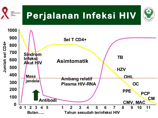 2 informasi dasar hiv aids & ims