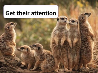 Get their attention
 