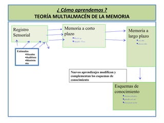 ¿ Cómo aprendemos ?
                TEORÍA MULTIALMACÉN DE LA MEMORIA

Registro                  Memoria a corto
                                                                       Memoria a
Sensorial                 plazo
                              •≈15/20 seg                              largo plazo
                              •fotográfica. Ecoica.                                 •varios días
                                                                                    •almacena ideas

  Estímulos
        •Visuales
        •Auditivos
        •Movimie
        nto


                             Nuevos aprendizajes modifican y
                             complementan los esquemas de
                             conocimiento

                                                           Esquemas de
                                                           conocimiento
                                                               •estructuras duraderas
                                                               •aplicables a la vida
                                                               •forman parte nuestra
 