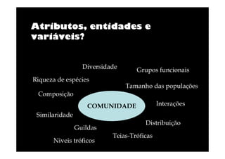 Atributos, entidades e
variáveis?

Diversidade
Riqueza de espécies

Grupos funcionais
Tamanho das populações

Composição
Interações

COMUNIDADE
Similaridade
Guildas
Niveis tróficos

Distribuição
Teias-Tróficas

 