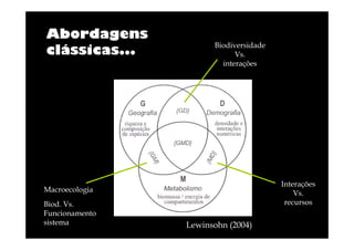 Abordagens
clássicas...

Biodiversidade
Vs.
interações

Interações
Vs.
recursos

Macroecologia
Biod. Vs.
Funcionamento
sistema

Lewinsohn (2004)

 