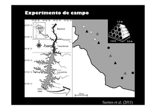 Experimento de campo

Santos et al. (2011)

 