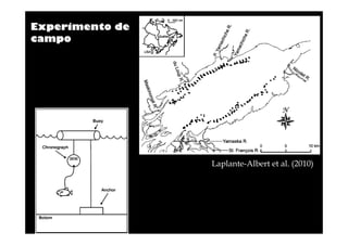 Experimento de
campo

Laplante-Albert et al. (2010)

 