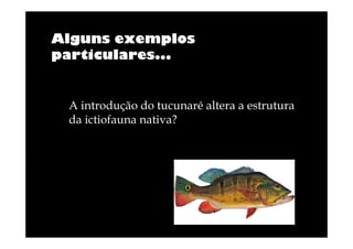 Alguns exemplos
particulares...

A introdução do tucunaré altera a estrutura
da ictiofauna nativa?

 