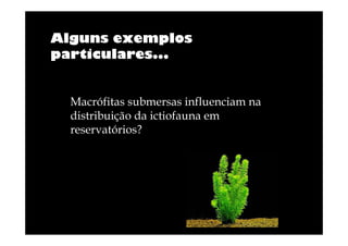 Alguns exemplos
particulares...

Macrófitas submersas influenciam na
distribuição da ictiofauna em
reservatórios?

 
