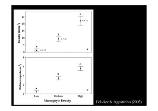 Pelicice & Agostinho (2005)

 