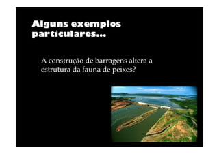 Alguns exemplos
particulares...
A construção de barragens altera a
estrutura da fauna de peixes?

 