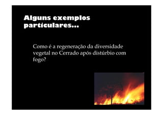 Alguns exemplos
particulares...

Como é a regeneração da diversidade
vegetal no Cerrado após distúrbio com
fogo?

 