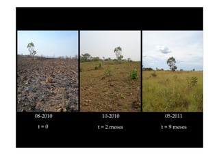 08-2010

10-2010

05-2011

t=0

t = 2 meses

t = 9 meses

 