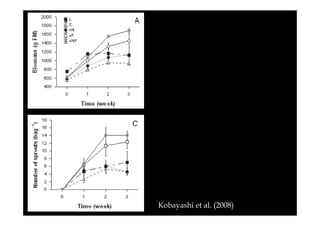 Kobayashi et al. (2008)

 