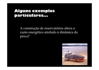 Alguns exemplos
particulares...

A construção de reservatórios altera o
custo energético atrelado à dinâmica da
pesca?

 