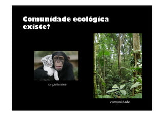 Comunidade ecológica
existe?

organismos

comunidade

 