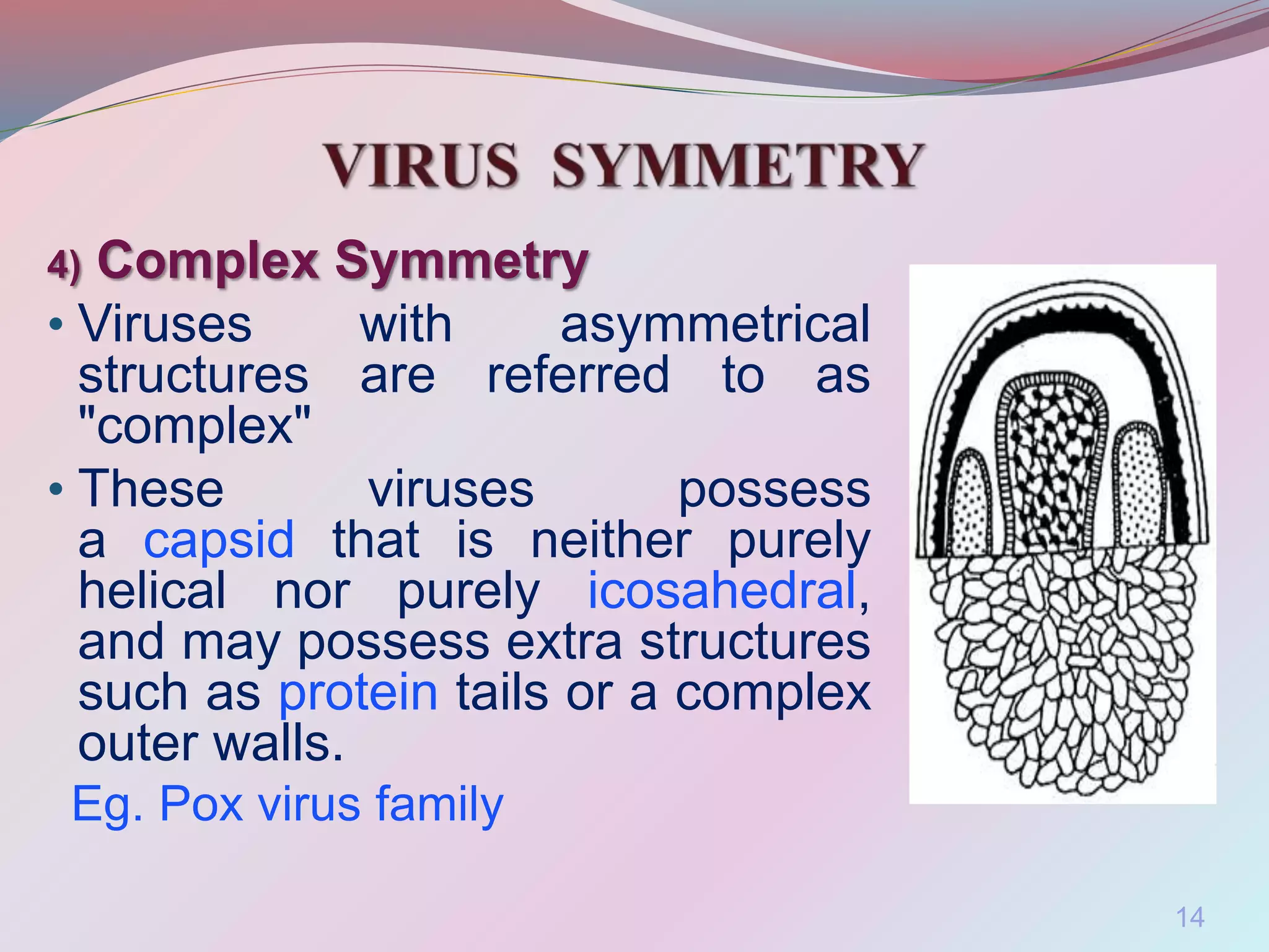 4) Complex Symmetry
• Viruses with asymmetrical
structures are referred to as
"complex"
• These viruses possess
a capsid that is neither purely
helical nor purely icosahedral,
and may possess extra structures
such as protein tails or a complex
outer walls.
Eg. Pox virus family
14
 