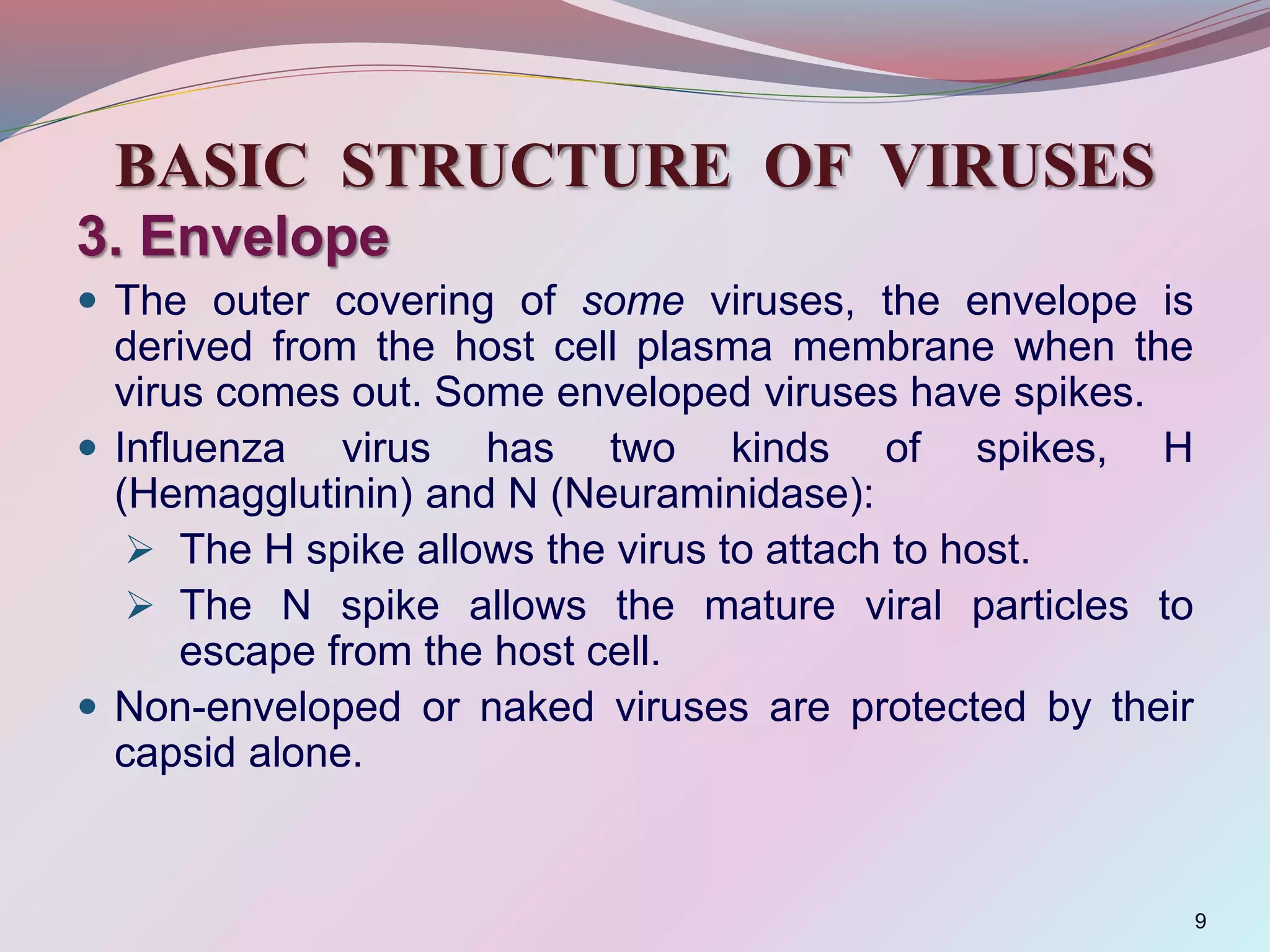 BASIC STRUCTURE OF VIRUSES
3. Envelope
 The outer covering of some viruses, the envelope is
derived from the host cell plasma membrane when the
virus comes out. Some enveloped viruses have spikes.
 Influenza virus has two kinds of spikes, H
(Hemagglutinin) and N (Neuraminidase):
 The H spike allows the virus to attach to host.
 The N spike allows the mature viral particles to
escape from the host cell.
 Non-enveloped or naked viruses are protected by their
capsid alone.
9
 