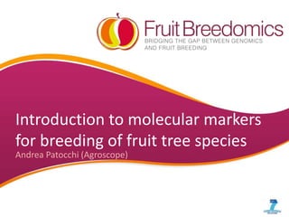 Introduction to molecular markers
for breeding of fruit tree species
Andrea Patocchi (Agroscope)

 