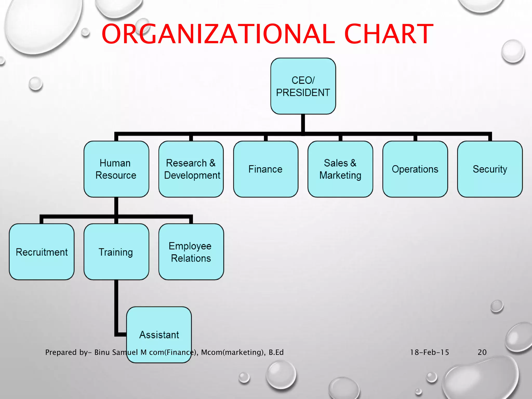 ORGANIZATIONAL CHART
18-Feb-15Prepared by- Binu Samuel M com(Finance), Mcom(marketing), B.Ed 20
 