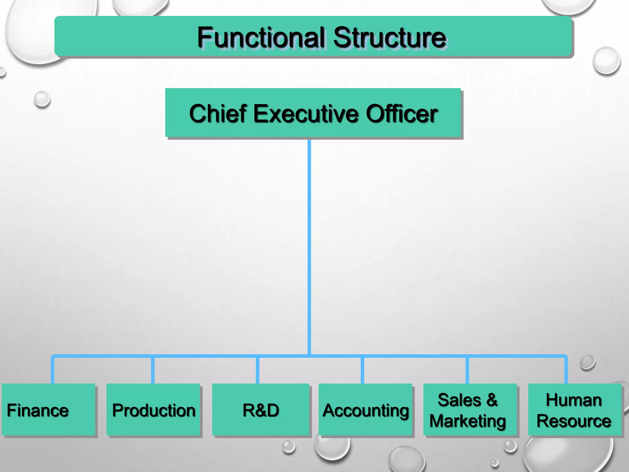 ProductionFinance R&D Accounting
Sales &
Marketing
Human
Resource
Chief Executive Officer
Functional Structure
 