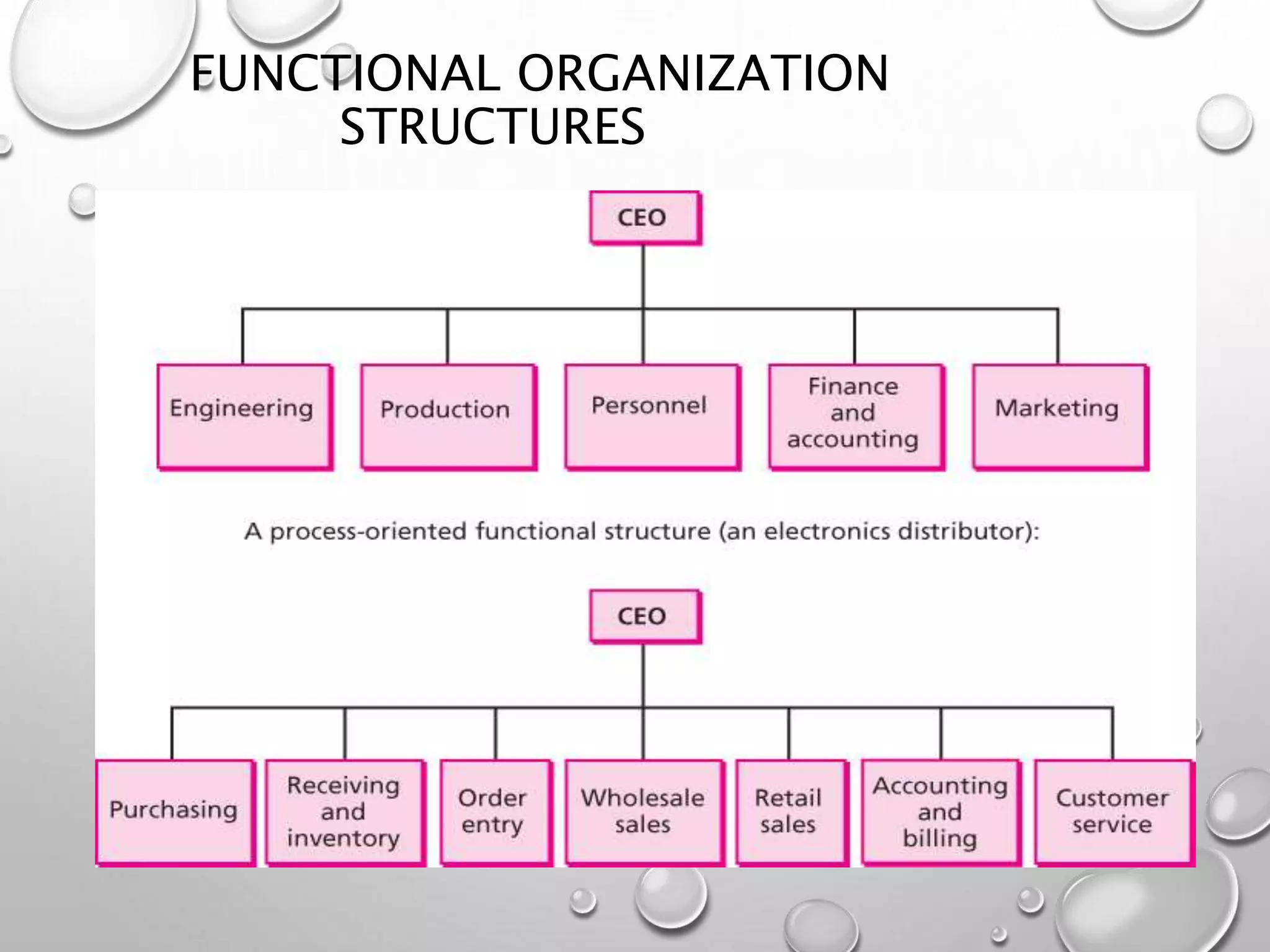 FUNCTIONAL ORGANIZATION
STRUCTURES
 