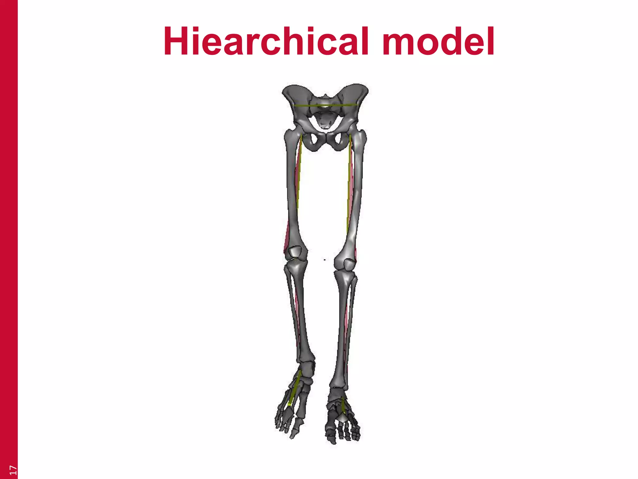 Hiearchical model 
17 
 